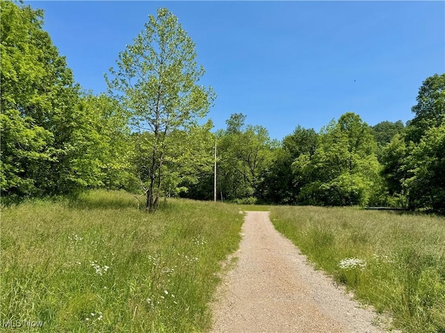 9811 Green Valley Rd, Chandlersville, OH 43727 - photo 1