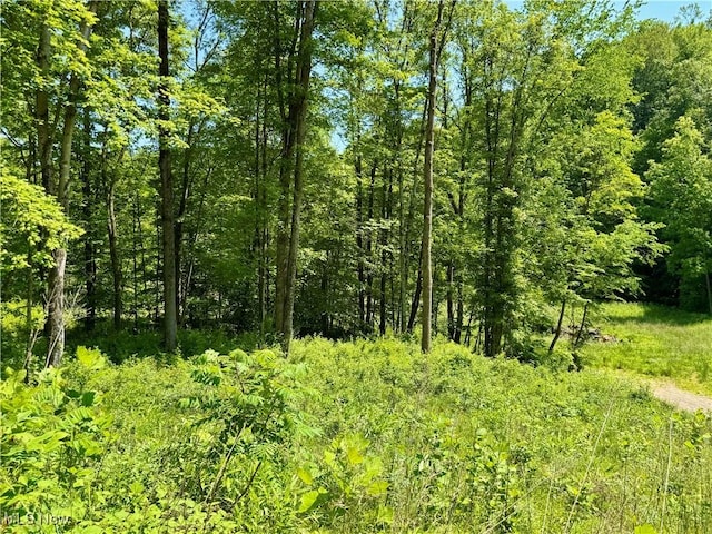 9811 Green Valley Rd, Chandlersville, OH 43727 - photo 9