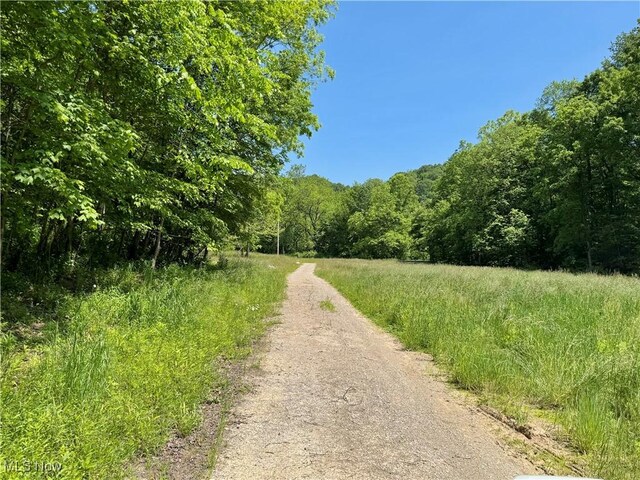 9811 Green Valley Rd, Chandlersville, OH 43727 - photo 10
