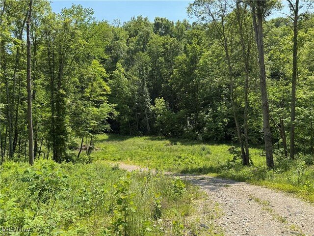 9811 Green Valley Rd, Chandlersville, OH 43727 - photo 11
