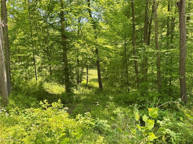 9811 Green Valley Rd, Chandlersville, OH 43727 - photo 12
