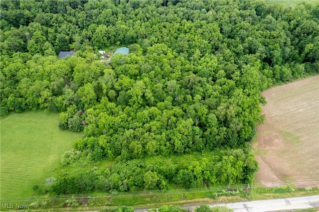County Road 2175, Ashland, OH 44805 - photo 2
