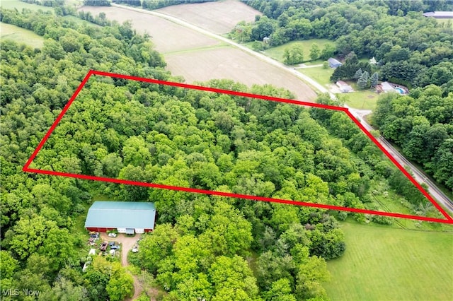 County Road 2175, Ashland, OH 44805 - photo 6
