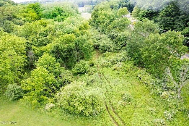 County Road 2175, Ashland, OH 44805 - photo 9