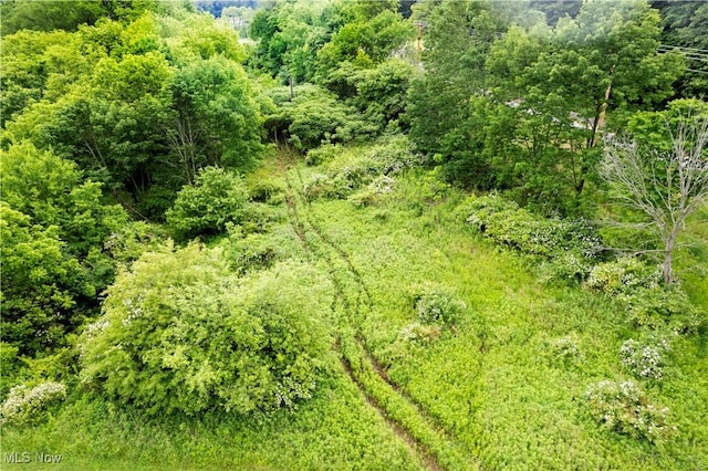 County Road 2175, Ashland, OH 44805 - photo 10