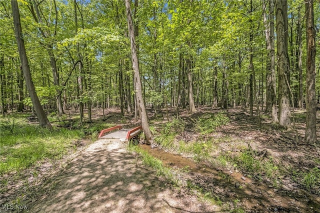 28649 Jackson Rd, Chagrin Falls, OH 44022 - photo 43