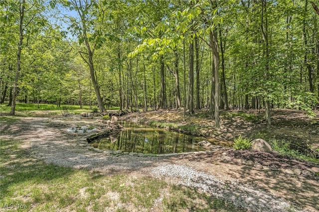 28649 Jackson Rd, Chagrin Falls, OH 44022 - photo 41