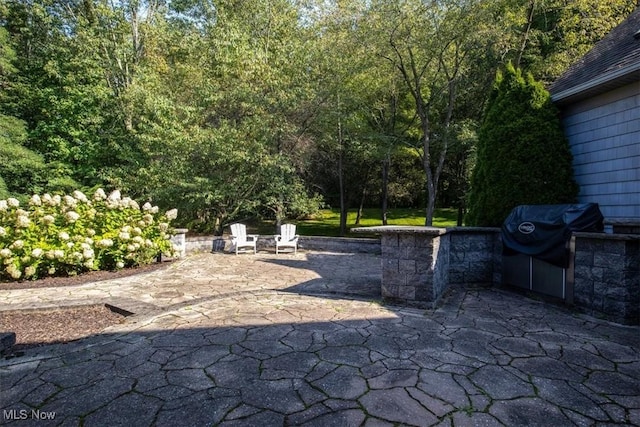 4679 Paxton Rd, Copley, OH 44321 - view of patio featuring area for grilling