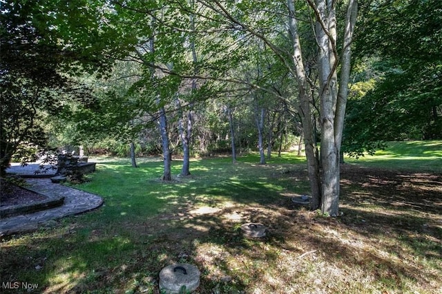 4679 Paxton Rd, Copley, OH 44321 - view of green lawn