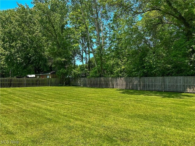 195 Fairlawn Ave, Niles, OH 44446 - view of yard
