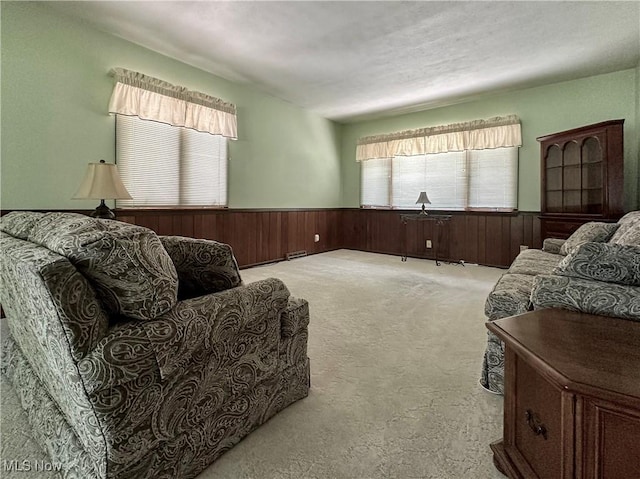 195 Fairlawn Ave, Niles, OH 44446 - carpeted living room with a wainscoted wall and wooden walls
