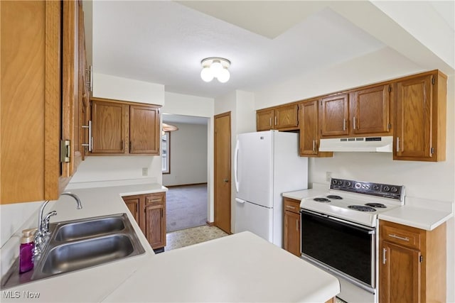 47 Tudor Ln Unit 6C, Kent, OH 44240 - kitchen featuring white appliances, under cabinet range hood, a sink, light countertops, and brown cabinetry