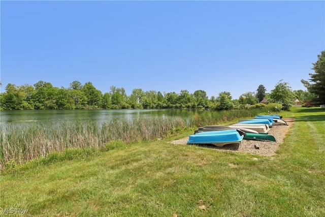 47 Tudor Ln Unit 6C, Kent, OH 44240 - view of grassy yard with a water view