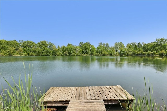 47 Tudor Ln Unit 6C, Kent, OH 44240 - dock with a water view