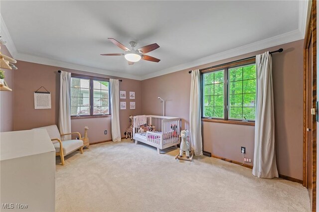 565 Hickory Hollow Dr, Canfield, OH 44406 - photo 22