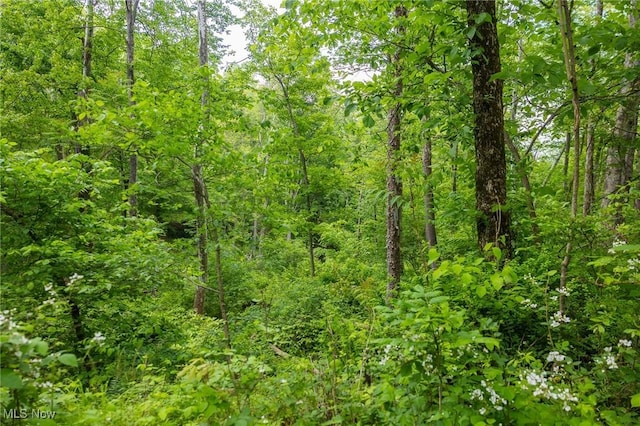 Darlington Rd, Zanesville, OH 43701 - photo 20