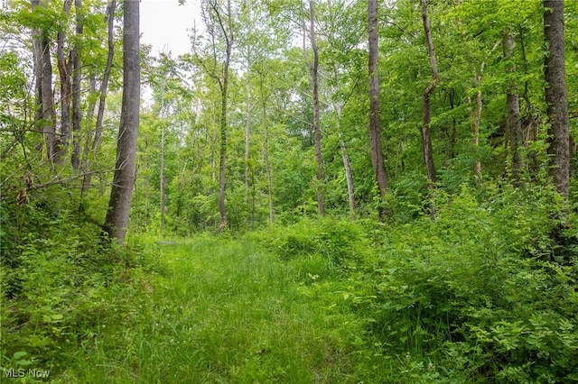 Darlington Rd, Zanesville, OH 43701 - photo 21