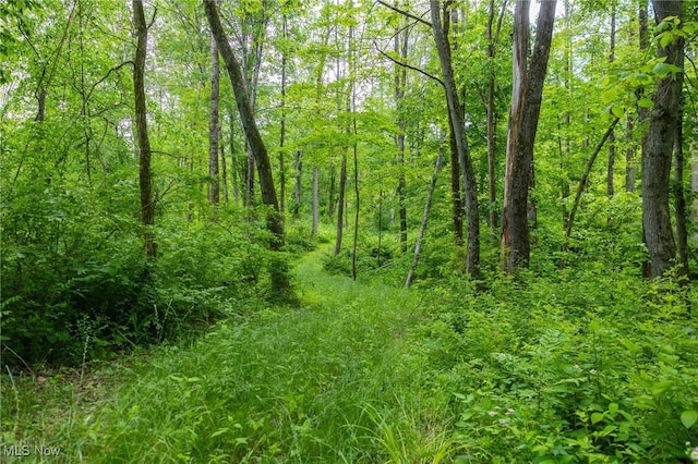 Darlington Rd, Zanesville, OH 43701 - photo 23