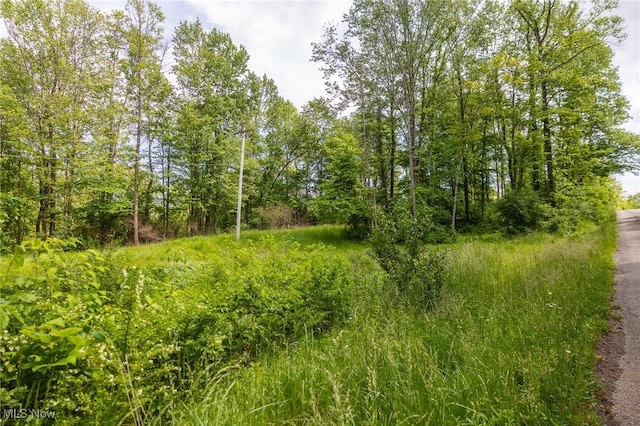 Darlington Rd, Zanesville, OH 43701 - photo 6