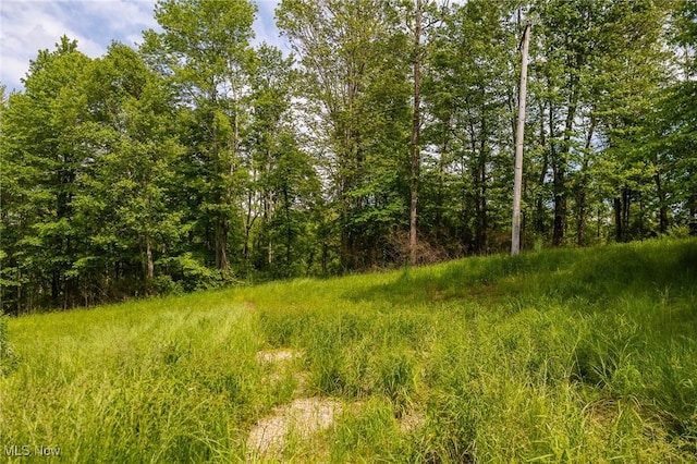 Darlington Rd, Zanesville, OH 43701 - photo 7