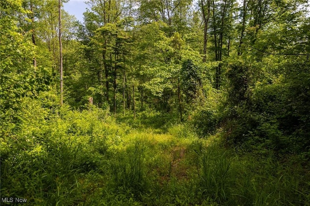 Darlington Rd, Zanesville, OH 43701 - photo 10
