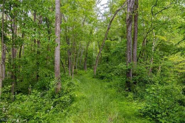 Darlington Rd, Zanesville, OH 43701 - photo 12