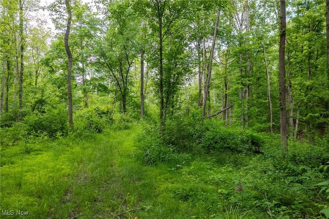 Darlington Rd, Zanesville, OH 43701 - photo 13