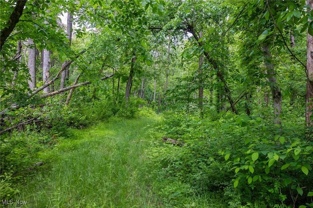 Darlington Rd, Zanesville, OH 43701 - photo 14