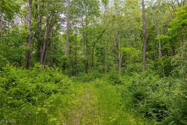 Darlington Rd, Zanesville, OH 43701 - photo 15