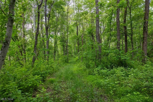 Darlington Rd, Zanesville, OH 43701 - photo 16