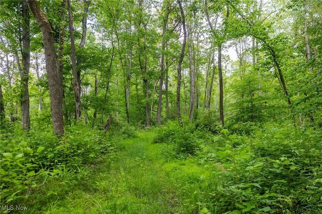 Darlington Rd, Zanesville, OH 43701 - photo 18