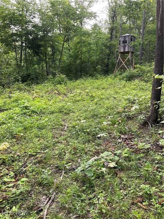 Darlington Rd, Zanesville, OH 43701 - photo 2