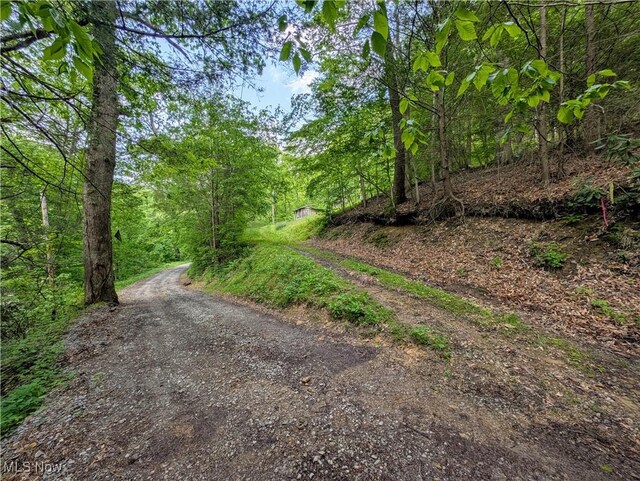 179 Little Beechy Ridge Rd, Procious, WV 25164