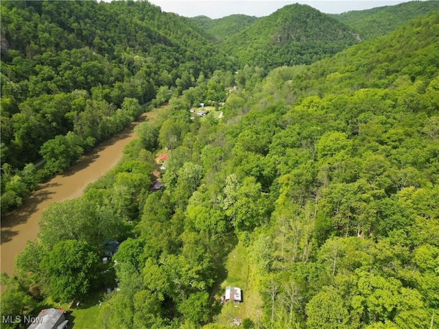 179 Little Beechy Ridge Rd, Procious, WV 25164