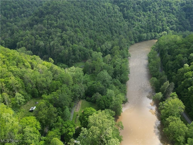 179 Little Beechy Ridge Rd, Procious, WV 25164