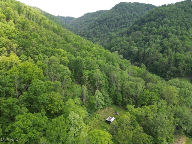 179 Little Beechy Ridge Rd, Procious, WV 25164