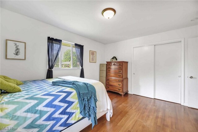 321 Justo Ln, Seven Hills, OH 44131 - bedroom with wood finished floors and a closet