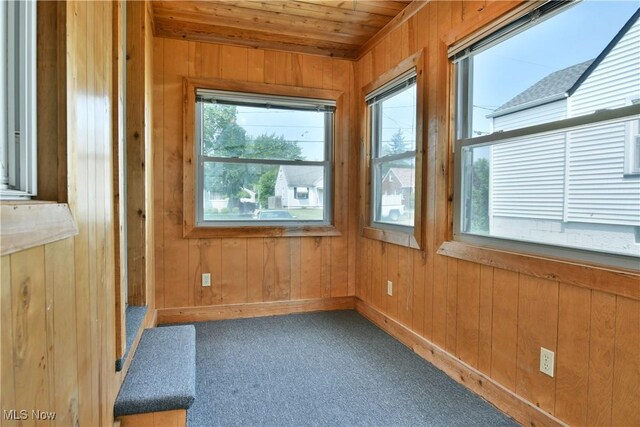 859 Gary Ave, Girard, OH 44420 - unfurnished room with wooden walls, wooden ceiling, carpet, and baseboards