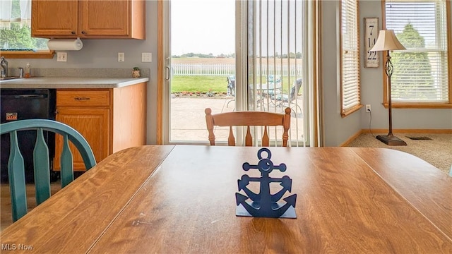 813 Buckeye Ln, Sandusky, OH 44870 - dining space featuring healthy amount of natural light and baseboards