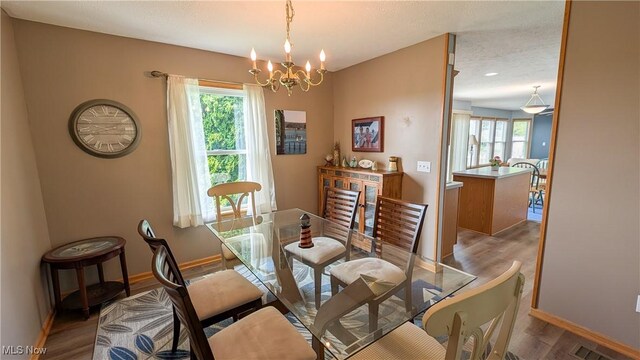 813 Buckeye Ln, Sandusky, OH 44870 - dining area with wood finished floors, a chandelier, and baseboards