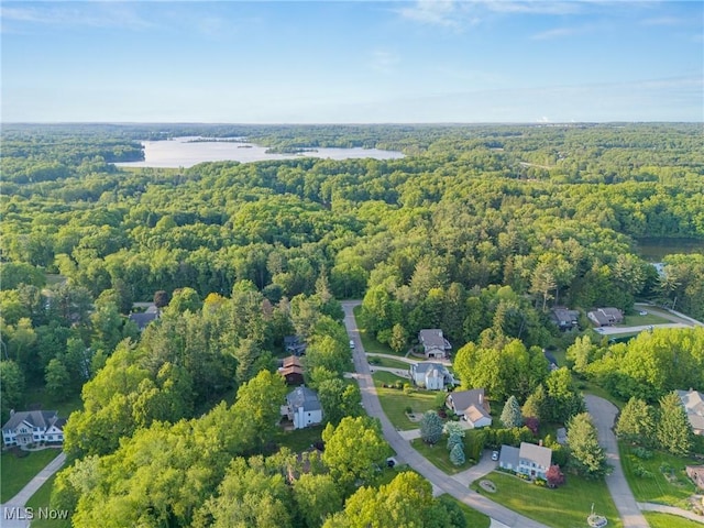 6791 Cedar Ridge Trl, Clinton, OH 44216 - aerial view of a forest