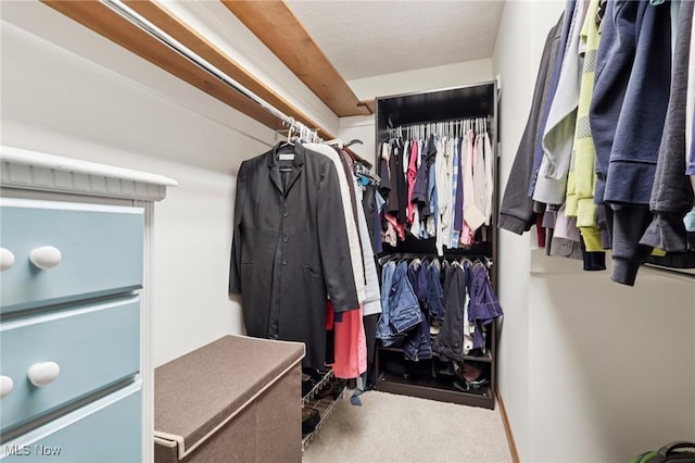 4610 Briarcliff Trl, Copley, OH 44321 - spacious closet with carpet