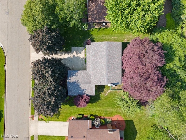 4518 Woodland Ave NW, Canton, OH 44709 - photo 13