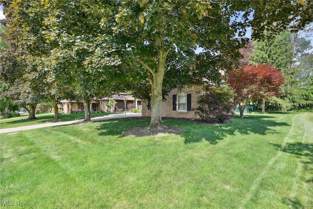 4518 Woodland Ave NW, Canton, OH 44709 - photo 3