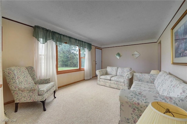 10031 Akins Rd, North Royalton, OH 44133 - carpeted living room with a textured ceiling