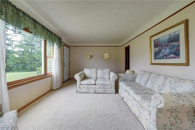 10031 Akins Rd, North Royalton, OH 44133 - carpeted living area featuring baseboards and a textured ceiling
