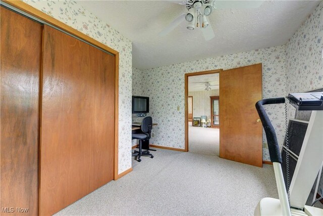 10031 Akins Rd, North Royalton, OH 44133 - carpeted office featuring wallpapered walls, a ceiling fan, and a textured ceiling