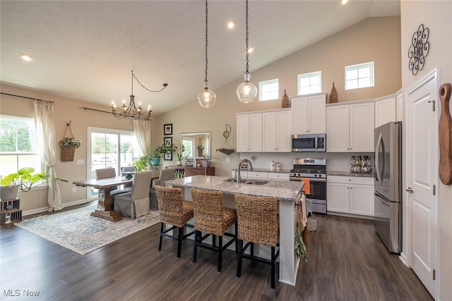 12136 White Tail Run, Columbia Station, OH 44028 - kitchen featuring stainless steel appliances, a sink, dark wood-style flooring, high vaulted ceiling, and white cabinets