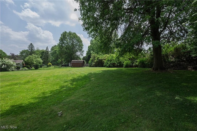 1214 Highwood Dr, New Franklin, OH 44216 - view of yard