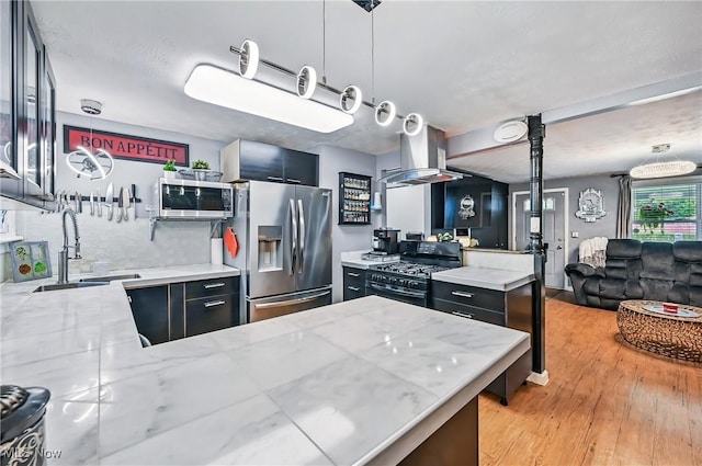 245 N Rd, Niles, OH 44446 - kitchen with appliances with stainless steel finishes, island exhaust hood, a sink, light wood-style flooring, and a peninsula